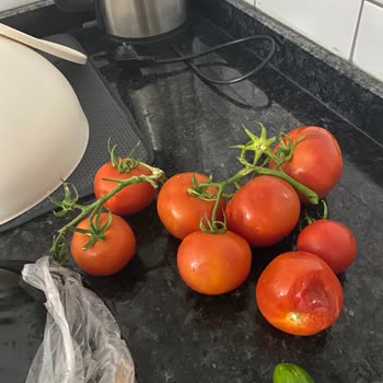 Migros Çürük Domates Ve Bayat Ekmek