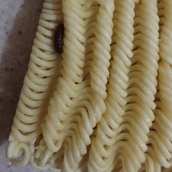 İndomie Spesiyal Hazır Noodle Kurtlar Çıktı