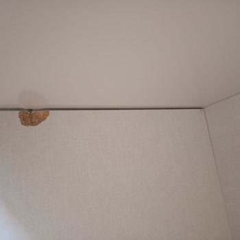 Aköz Nakliyat (Kocaeli) Yapamam Denildi Bırakmak İstiyor