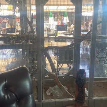 Semt Luna Beach Hijyen Ve Memnuniyet Sıfır!