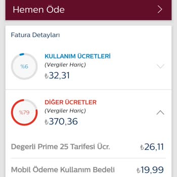 Apple Fatura Üzerindeki Ek Harcamalar