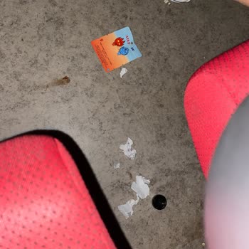 Cinens Kirlilik Ve Duyarsızlık