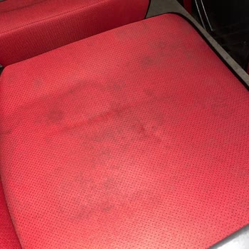 Cinens Kirlilik Ve Duyarsızlık