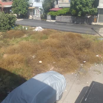 Seyhan Belediyesi Yeşiloba Mahallesindeki Kurumuş Otlar Ve Haşereler