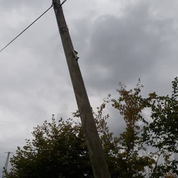 Türk Telekom İnternet Arıza Problemimin Çözümlenmemesi