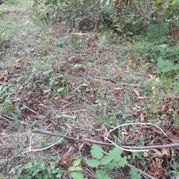 Türk Telekom İnternet Arıza Problemimin Çözümlenmemesi