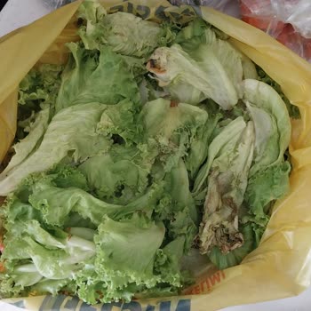 Şok Marketler Şok Çürümüş Sebze Gönderiyor