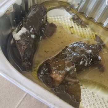 A101 Sarmadan Çıkan Kıl