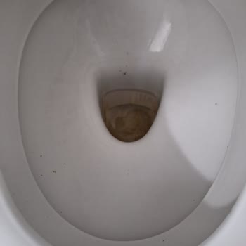 TÜRSAB De Mare Ve Pilot Tatil!