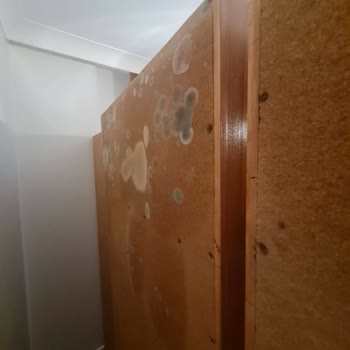 Türkiye Sigorta Konut Sigortası Şikayetimin Doğru Değerlendirilmemesi