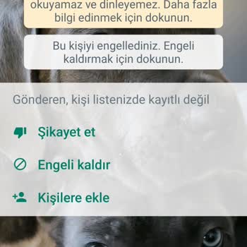WhatsApp +62 857-5470-23006 Endonezya