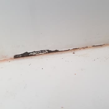 Uğur Soğutma Derin Dondurucu İçi Pas Tutmuş