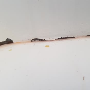 Uğur Soğutma Derin Dondurucu İçi Pas Tutmuş