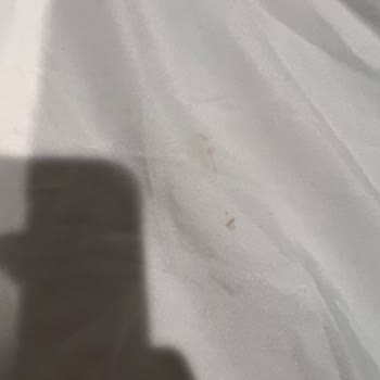 Foxstudy Dil Okulu Ve Konaklama Sorunu