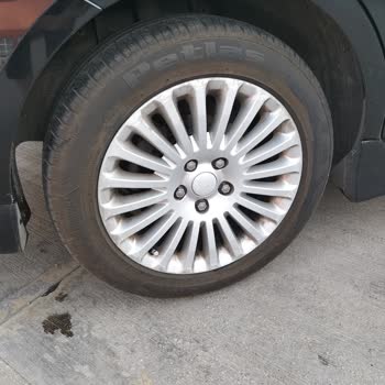 Petlas Lastik Küflenmesi Ve Sararması