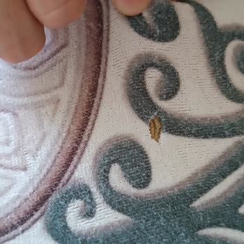 Bosch Çamaşır Makinem Elbise Yırtıyor