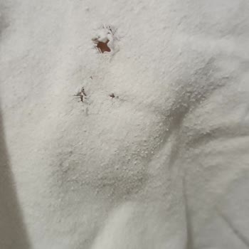 Bosch Çamaşır Makinem Elbise Yırtıyor