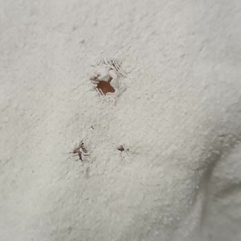 Bosch Çamaşır Makinem Elbise Yırtıyor