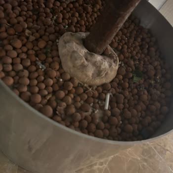 Sianji Well Being Resort Pişman Olduğumuz Bir Otel