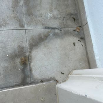 Sianji Well Being Resort Pişman Olduğumuz Bir Otel