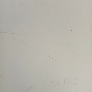 Mio Bianco Resort Otelden Rahatsız Oldum