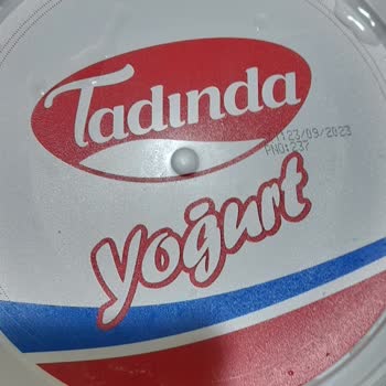 Aldığım Tadında Yoğurtun İçinde Pis Bir Şey Çıktı