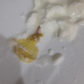 Aldığım Tadında Yoğurtun İçinde Pis Bir Şey Çıktı