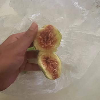 Trendyol Market Ürün İadesi Sorunu