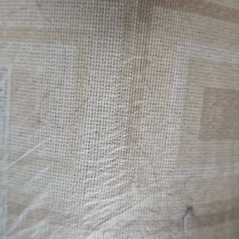 Saray Halı Yıkama (İzmir) Tam Bir Fiyasko