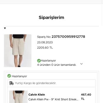 Brandy's Asla Gelmeyen Kargo