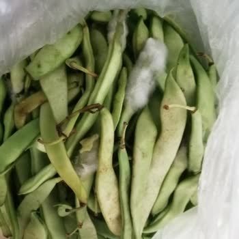 İstinye Migros Sanal Bozuk Ürün