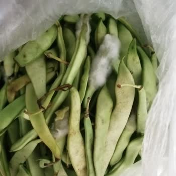 İstinye Migros Sanal Bozuk Ürün