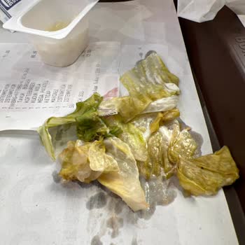 Burger King Hamburgerin İçinde Çürük Marul