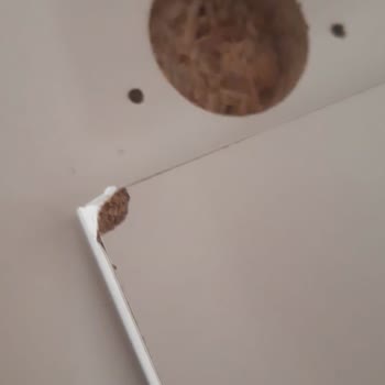 Horoz Lojistik İade Alınmayan Kargo
