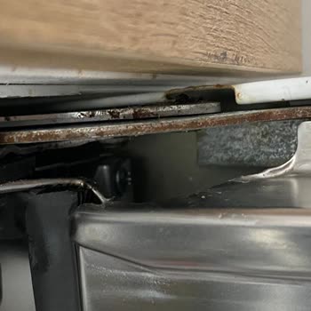 Electrolux Buzdolabı Ses- Bulaşık Mak. Pas- Çamaşır Mak. Ses