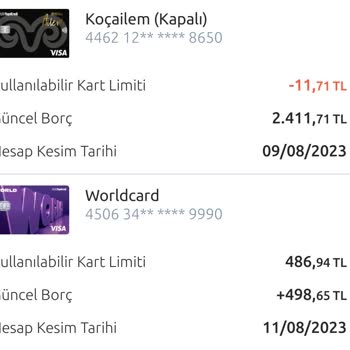 Yapı Kredi Bankası KoçAilem Kartında Ödenmemiş Borç Sorunu