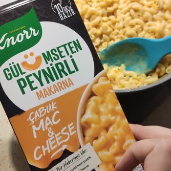 Knorr Mac And Cheese İçinden Böcek Çıktı