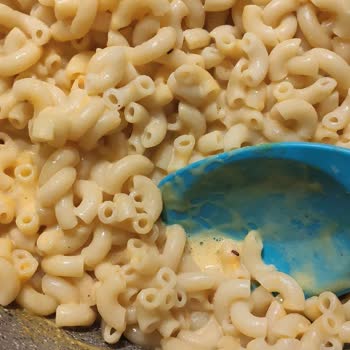 Knorr Mac And Cheese İçinden Böcek Çıktı