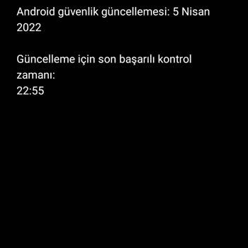 Reeder P13 Güncelleme Sorunu