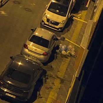 Esenler Belediyesi Esenlerde Sokaklara Çöp Atılması, Herkesin Çöp İçinde Olması