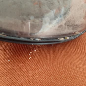 Beko Şarjlı Süpürge Tozu, Çöpü Geri Bırakıyor