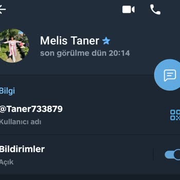 WhatsApp Telegram, WhatsApp Üzerinden Görev Yap Para Kazan Aldatmacası