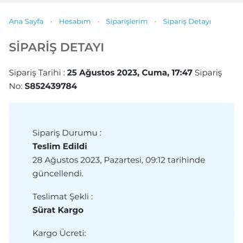 Ölü Pixel Sorunu Sinerji Bilgisayar