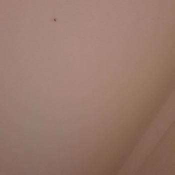 Queens Park Göynük Otelinde Tatil Deneyimi