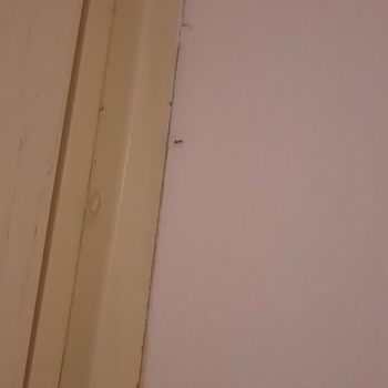 Queens Park Göynük Otelinde Tatil Deneyimi