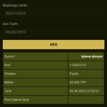 GrandPashaBet Yatırım Bonusu Bahanesi İle Bakiyemi Sildi.