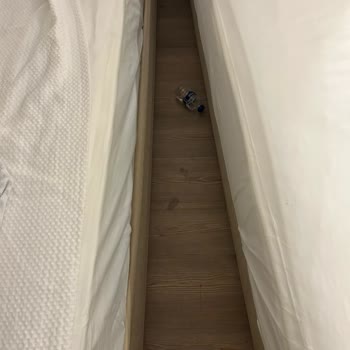 Royal Diwa Tekirova Resort Ses, Kirlilik, Böcek, Vurdumduymazlık, Uyanıklık