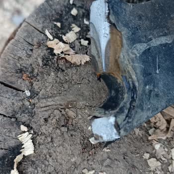 Beybolat 22 Beygir Patpat Arızası