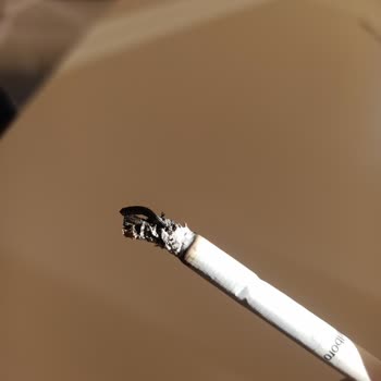 Philip Morris Sigaranın İçinde Odun Parçası Çıkıyor