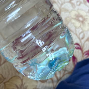 Kızıldağ Su Hazır Su Da Yosunlaşma